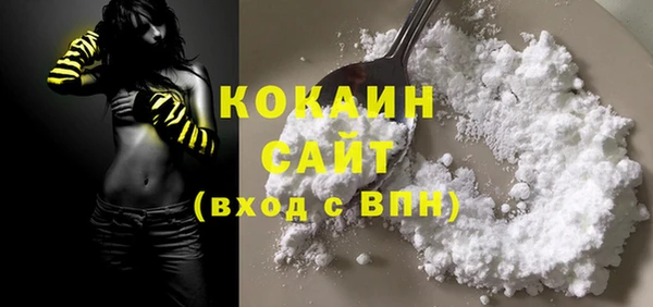 гашик Алзамай