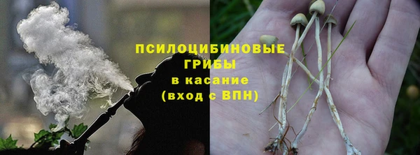 apvp Заволжье
