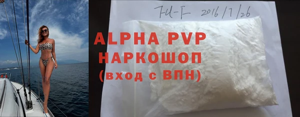 стаф Заводоуковск