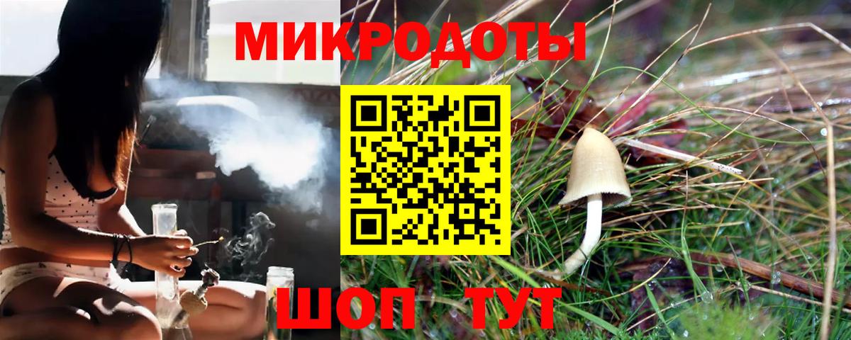 Дмитров  Псилоцибиновые грибы GOLDEN TEACHER  Вход с VPN 